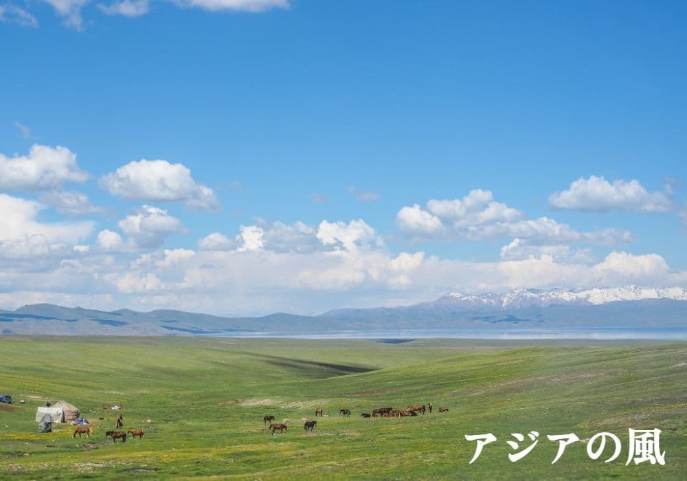 istock-1209837154.jpg
